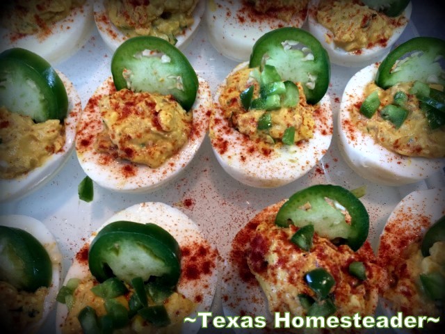 Pico de gallo deviled eggs - jalapeno slices- #TexasHomesteader