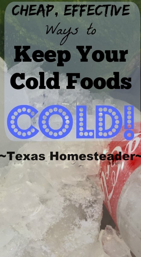 Keeping Food Cold! Let's talk food safety when the weather turns hot. Tips for keeping your cold dishes safely chilled on the cheap! #TexasHomesteader