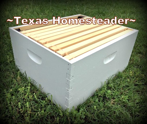 An empty deep hive box with frames. Beginning Beekeeping Series: Today we're talking about why and how to expand your bee hives. (We're using Langstroth hives) #TexasHomesteader