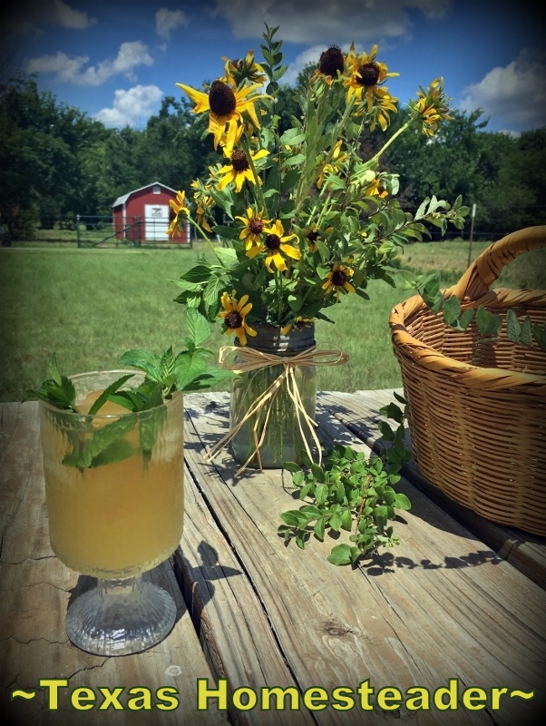 Old-timers called it 'Haymaker's Punch' - a healthy honey/ginger drink to rehydrate the workers in the fields in brutal summer temps #TexasHomesteader