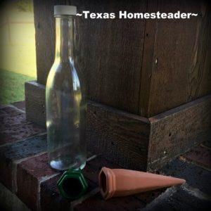 Repurposed bottle for watering spike. Happy Earth Day, y'all - it's like Mother Nature's Birthday. There are lots of gifts we can give to Mother Nature, come see my faves. #TexasHomesteader