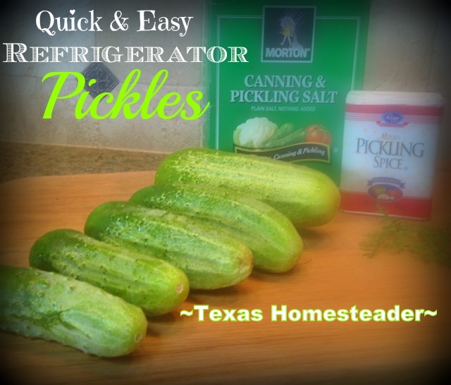 One Quart Refrigerator Sweet Pickle Recipe. Lightly sweet and crisp, this recipe is good for a single quart jar at a time! #TexasHomesteader