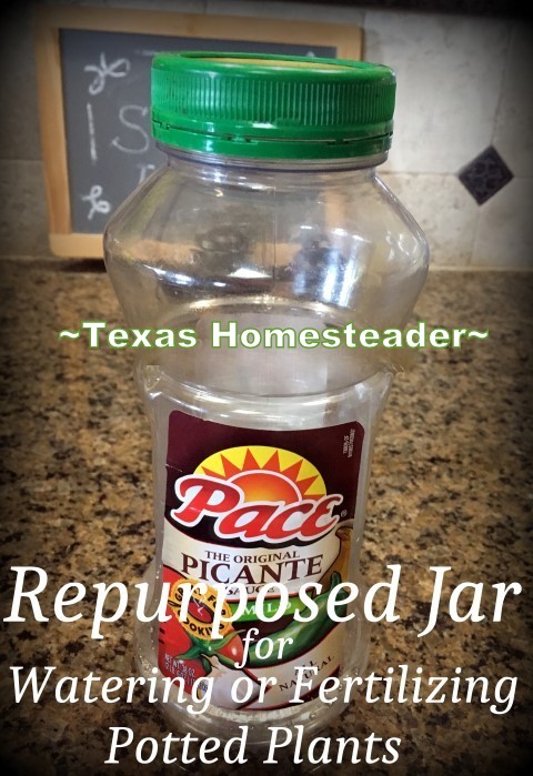 Keeping Potted Plants Watered In The Summer. I've repurposed a wide-mouth plastic jar into a way to easily deeply water my potted plants. Check out this homestead hack! #TexasHomesteader