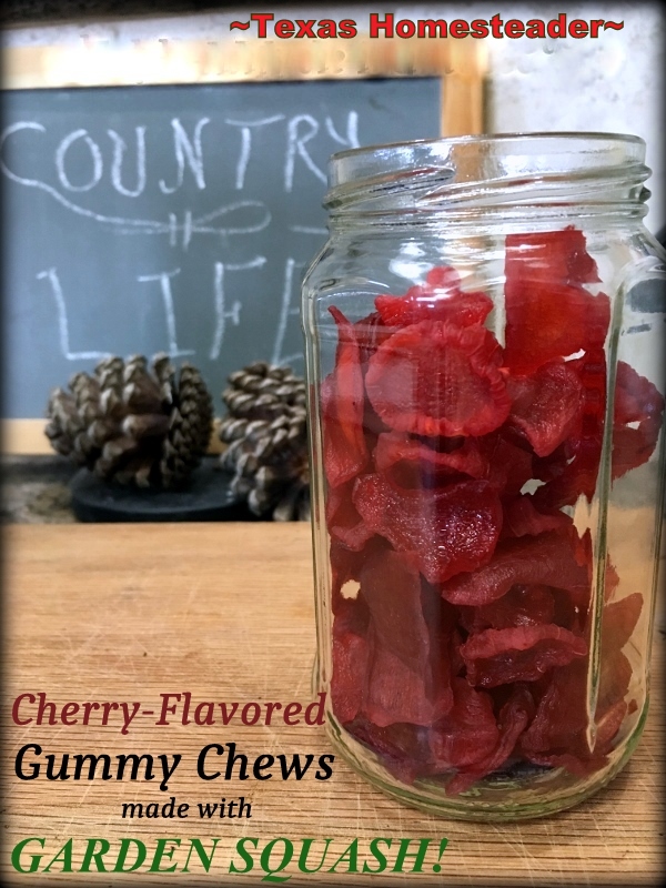 What can you do with all that garden squash? Make sweet cherry-flavored gummy snacks for your family with overgrown zucchini or squash! #TexasHomesteader