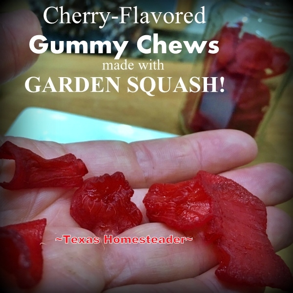 What can you do with all that garden squash? Make sweet cherry-flavored gummy snacks for your family with overgrown zucchini or squash! #TexasHomesteader