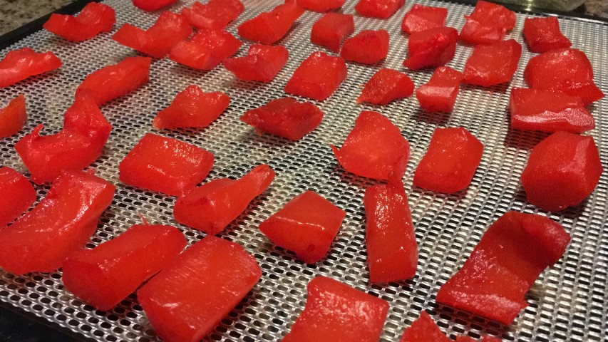 Cherry Gummy Candy Made From Squash