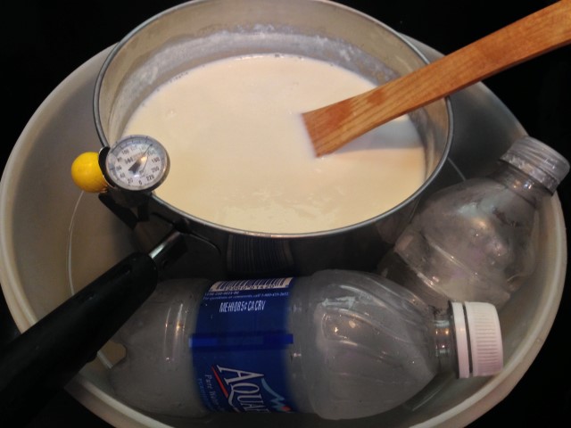 Homemade yogurt milk is cooled until it reach 105 degrees in a bowl of ice water. #TexasHomesteader