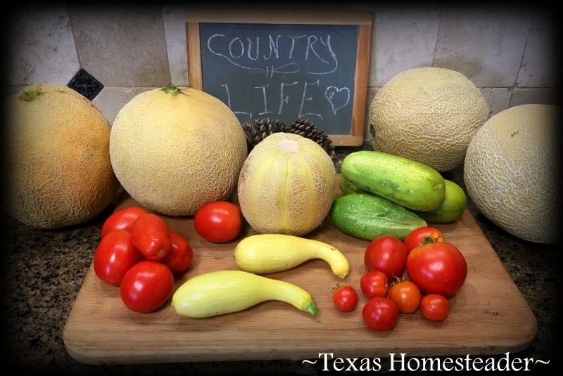 Easily planning my garden for the year. Fresh garden produce spread upon a wooden cutting board. #TexasHomesteader