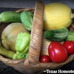 Easiest Self-Sufficiency Steps - grow your own food. Many are trying to practice self sufficiency these days. Come see how to save money on groceries, necessities, and make things yourself #TexasHomesteader