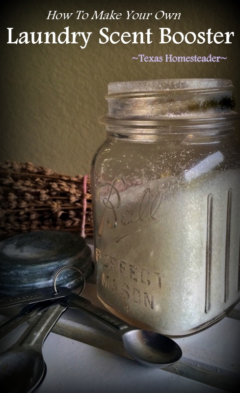 My homemade laundry detergent smells great but sometimes you want a stronger scent. Making a scent booster is inexpensive and easy! #TexasHomesteader