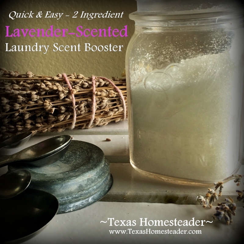 My homemade laundry detergent smells great but sometimes you want a stronger scent. Making a scent booster is inexpensive and easy! #TexasHomesteader
