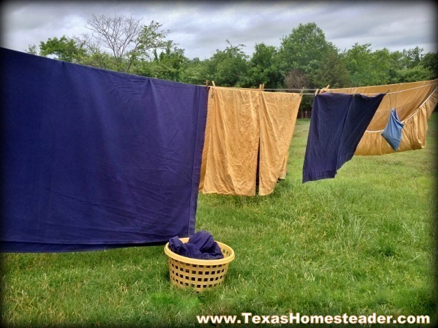 Clean sheets laundry hanging on the line to dry. #TexasHomesteader