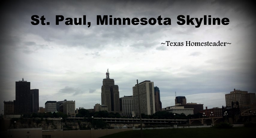 A Special 'Wanna Get Away' fair on SW Airlines that made it affordable for us to fly to Minneapolis, MN. Come See The Fun We Had There! #TexasHomesteader