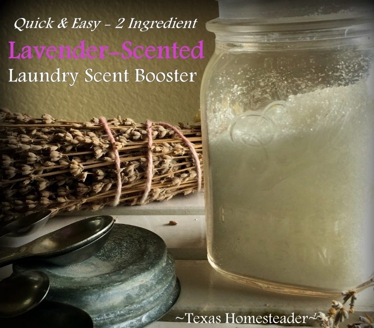 My homemade laundry scent booster is cheap and effective. #TexasHomesteader