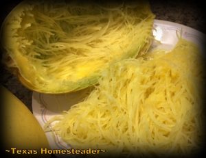 Do you love spaghetti squash as much as we do? Check out this easy cheesy spaghetti squash lasagna. Quick, easy and so good! #TexasHomesteader