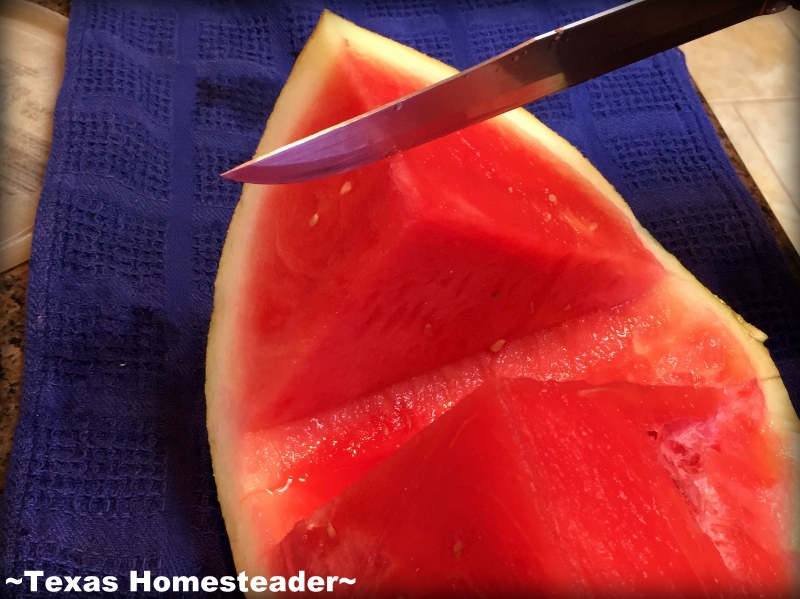 Frozen Watermelon Daiquiri. #TexasHomesteader