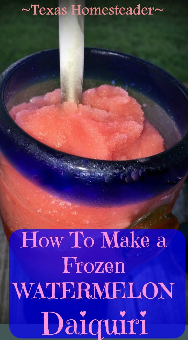 Frozen watermelon and a small amount of sugar makes an icy cold watermelon slushie - or add rum for a watermelon daiquiri. #TexasHomesteader