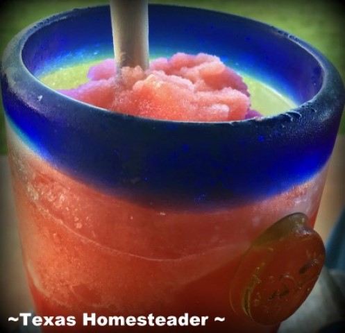 Watermelon Smoothie or Daiquiri with Rum in thick glass with metal straw. #TexasHomesteader