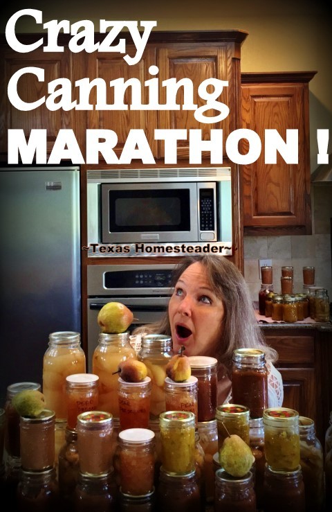 Crazy Canning Lady had a Canning Marathon trying to FINALLY deal with the fresh produce. Getting there was a comedy of errors! #TexasHomesteader