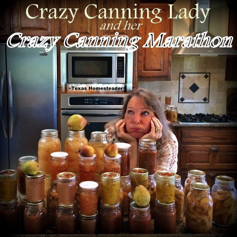 Crazy Canning Lady had a Canning Marathon trying to FINALLY deal with the fresh produce. Getting there was a comedy of errors! #TexasHomesteader