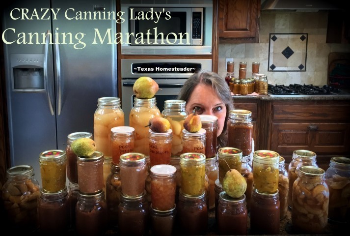 Crazy Canning Lady had a Canning Marathon trying to FINALLY deal with the fresh produce. Getting there was a comedy of errors! #TexasHomesteader