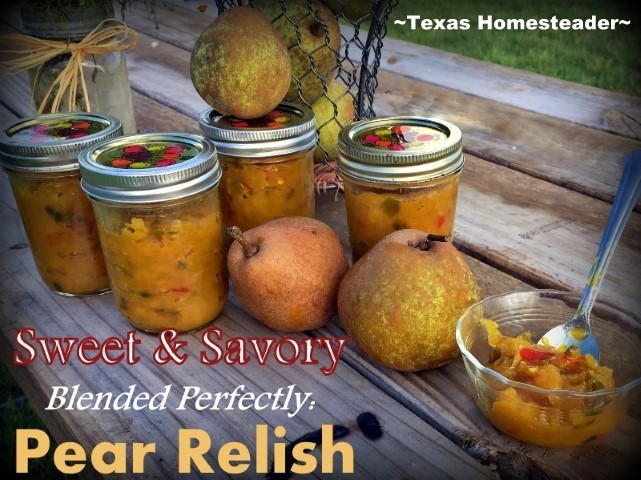 I'm not typically a fan of Sweet & Savory but when you combine pears with onions, peppers and mustard? MAGIC! Check out my Pear Relish. #TexasHomesteader