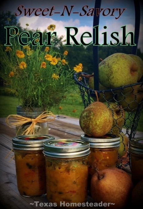 Sweet & Savory Pear Relish recipe is simple and delicious. I show optional canning instructions too. #TexasHomesteader