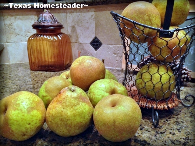 Pears pear harvest metal basket kitchen #TexasHomesteader