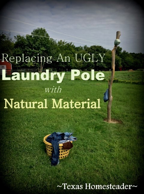 We replaced our ugly laundry pole something more in step with our natural surroundings. You know my battle cry: Use Whatcha Got! #TexasHomesteader