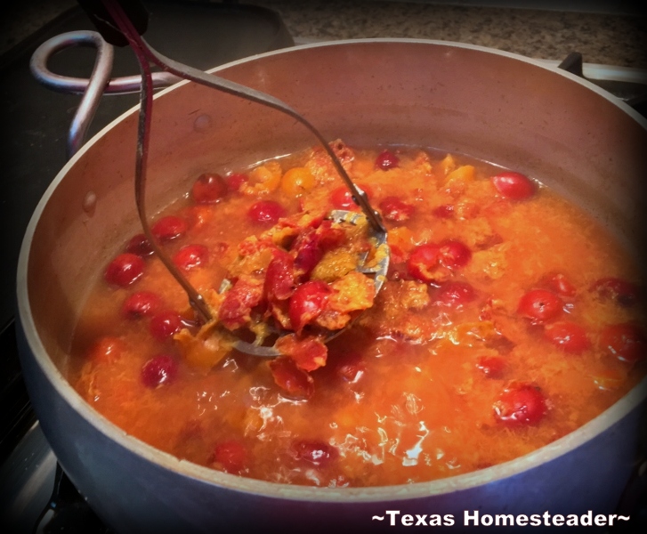 Wild Plum Jelly recipe - No peeling, no pitting, no PECTIN Check out this Lazy-Girl's wild plum jelly recipe. #TexasHomesteader