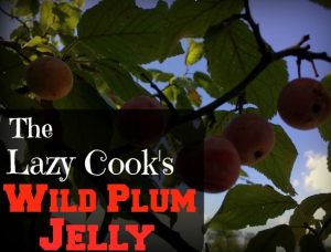 Wild Plum Jelly - No added pectin needed - super easy recipe! #TexasHomesteader