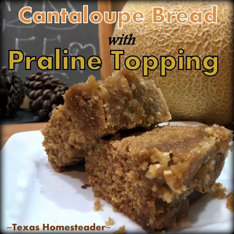 If you have extra fresh cantaloupe, make this Sweet Cantaloupe Bread with Pecan Praline Glaze. DELICIOUS and so easy! #TexasHomesteader