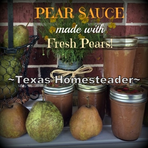 Pear Sauce is much like applesauce but made with pears. After being given a supply of pears I gave pear sauce a try. Check it out! #TexasHomesteader