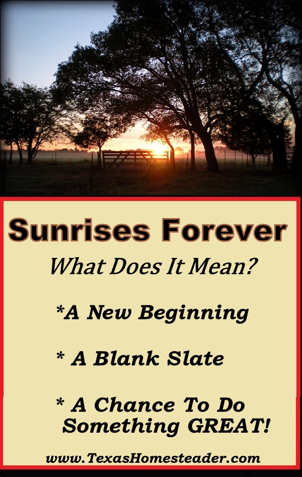 What will you do with today's possibilities? Don't waste it, today's sunrise is a fresh opportunity great things! Sunrises FOREVER! #TexasHomesteader
