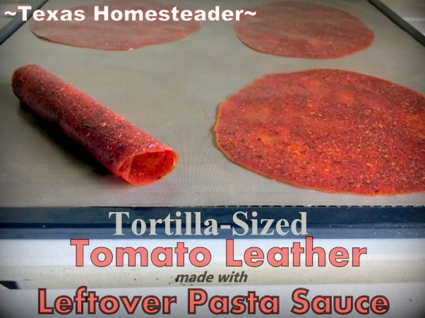 Recently I had leftover pasta sauce so I decided to make some tortilla-sized pizza leather. I'll use them on our tortilla pizzas! #TexasHomesteader
