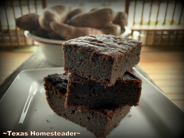 These sugar free chocolate brownies are made with sweet potatoes! #TexasHomesteader