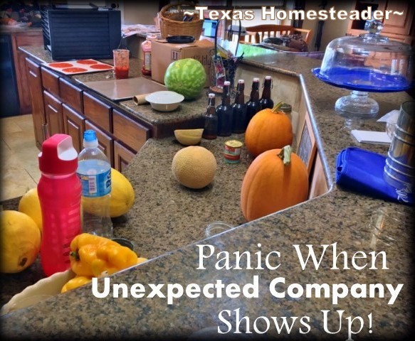 Do you feel panic when unexpected company shows? I polled our followers to see if they felt the same. Their responses were hilarious! #TexasHomesteader