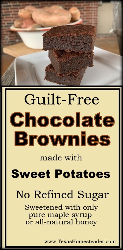 Chocolate gluten-free brownies made with sweet potatoes is a healthy gluten-free treat. #TexasHomesteader 