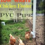 PVC Chicken Feeder. Top 10 Homesteading Posts of 2016 - Saving money, Homemade Soap Recipes, DIY Face Powder, Canning Jar Storage Solution & MORE! #TexasHomesteader