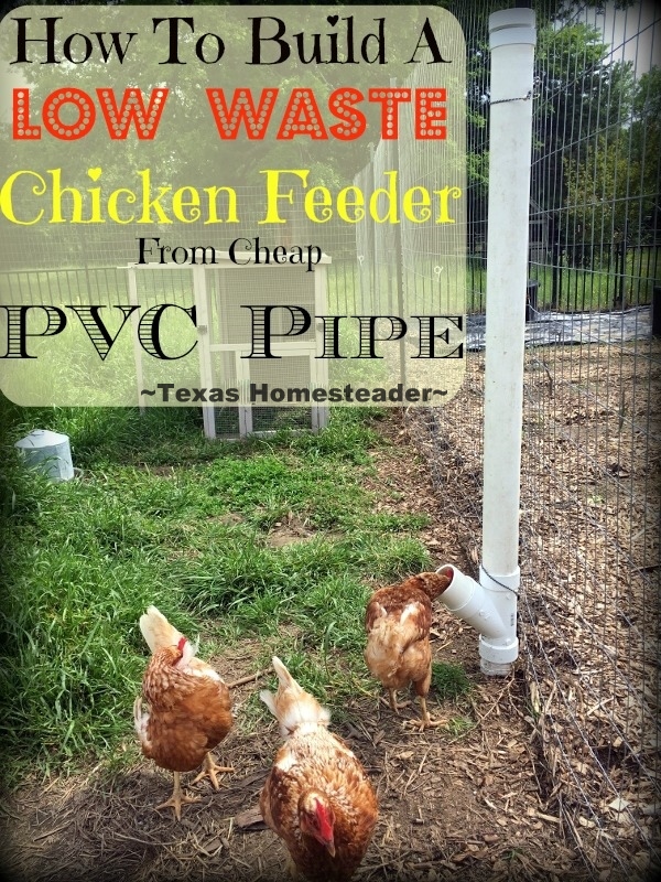 PVC Chicken Feeder. Using items picked up second hand we constructed a large chicken feeder that doesn't waste feed. See how! #TexasHomesteader