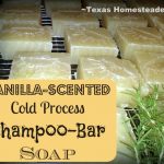 Vanilla Shampoo Bars. Top 10 Homesteading Posts of 2016 - Saving money, Homemade Soap Recipes, DIY Face Powder, Canning Jar Storage Solution & MORE! #TexasHomesteader