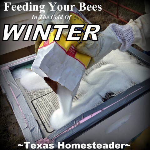 Sugar placed on black and white newspaper can feed the bees during the cold winter months. #TexasHomesteader