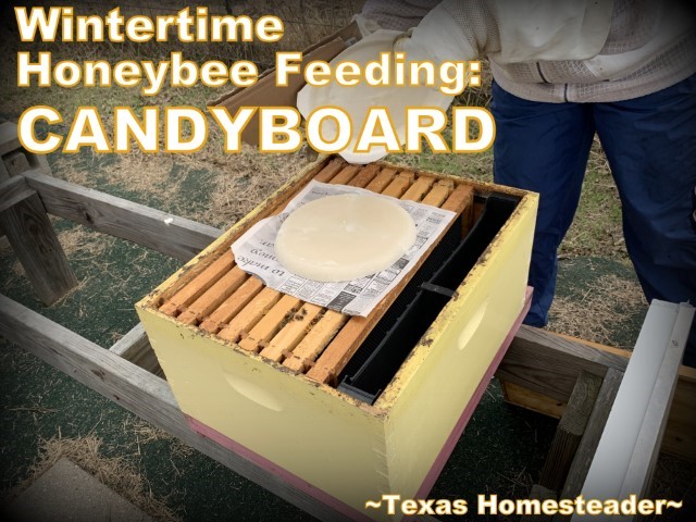 Candyboard for winter honeybee hive feeding #TexasHomesteader