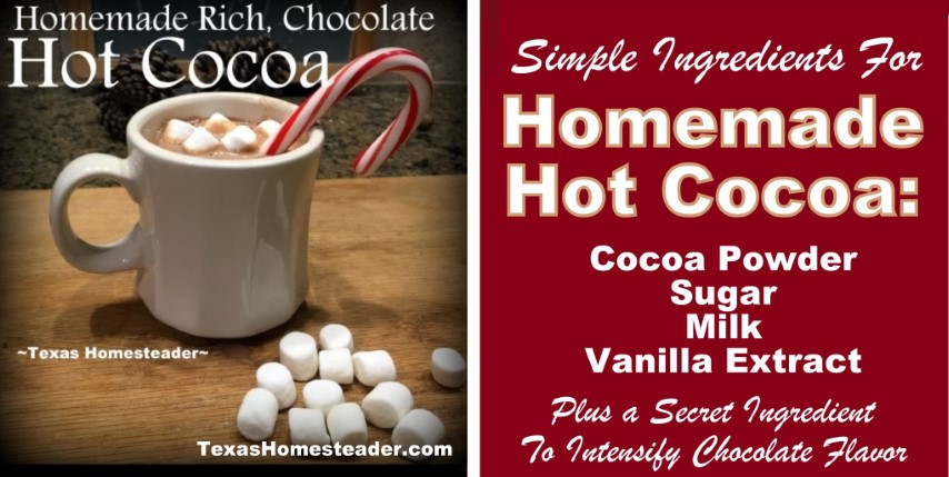 Homemade Hot Cocoa Recipe - Rich, Chocolate #TexasHomesteader