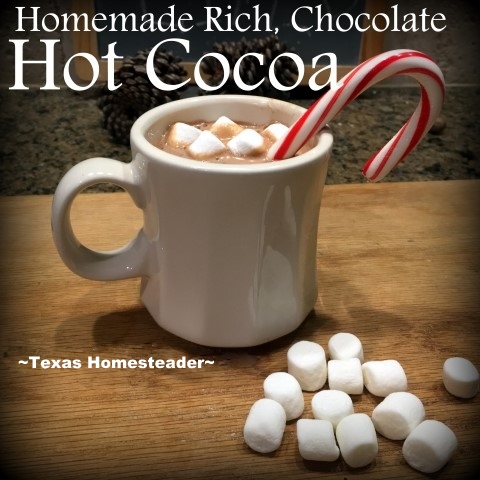 Homemade hot cocoa for breakfast. Our kids requested experience gifts only for our grandchildren. We wanted something more physical for them so we took them to an Obstacle Course. #TexasHomesteader