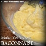 Homemade mayonnaise is easy to make yourself.