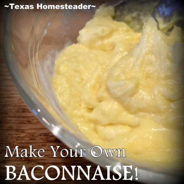 I've made our mayonnaise homemade for a long time but recently got to thinking... BACON! Now I almost always make Baconnaise! #TexasHomesteader