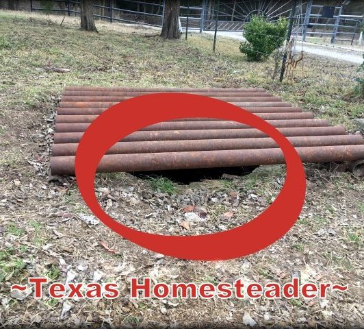 When our cistern enclosure deteriorated we tore it down but we needed a way to keep our mini Schnauzer safe around it. Use Whatcha Got! #TexasHomesteader