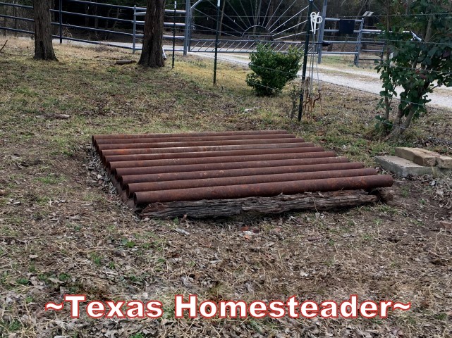 When our cistern enclosure deteriorated we tore it down but we needed a way to keep our mini Schnauzer safe around it. Use Whatcha Got! #TexasHomesteader