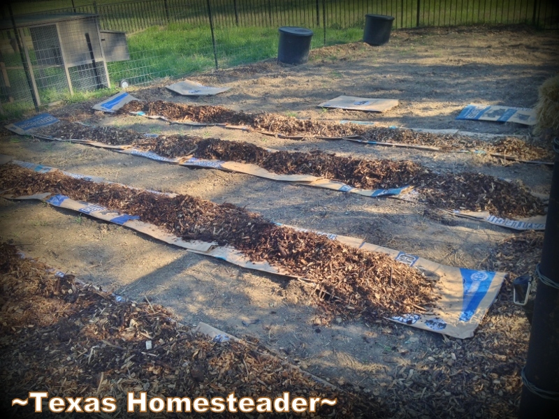 Soon it will be time to plant my vegetable garden. I need to be prepared! Come see my February Veggie garden chores. #TexasHomesteader